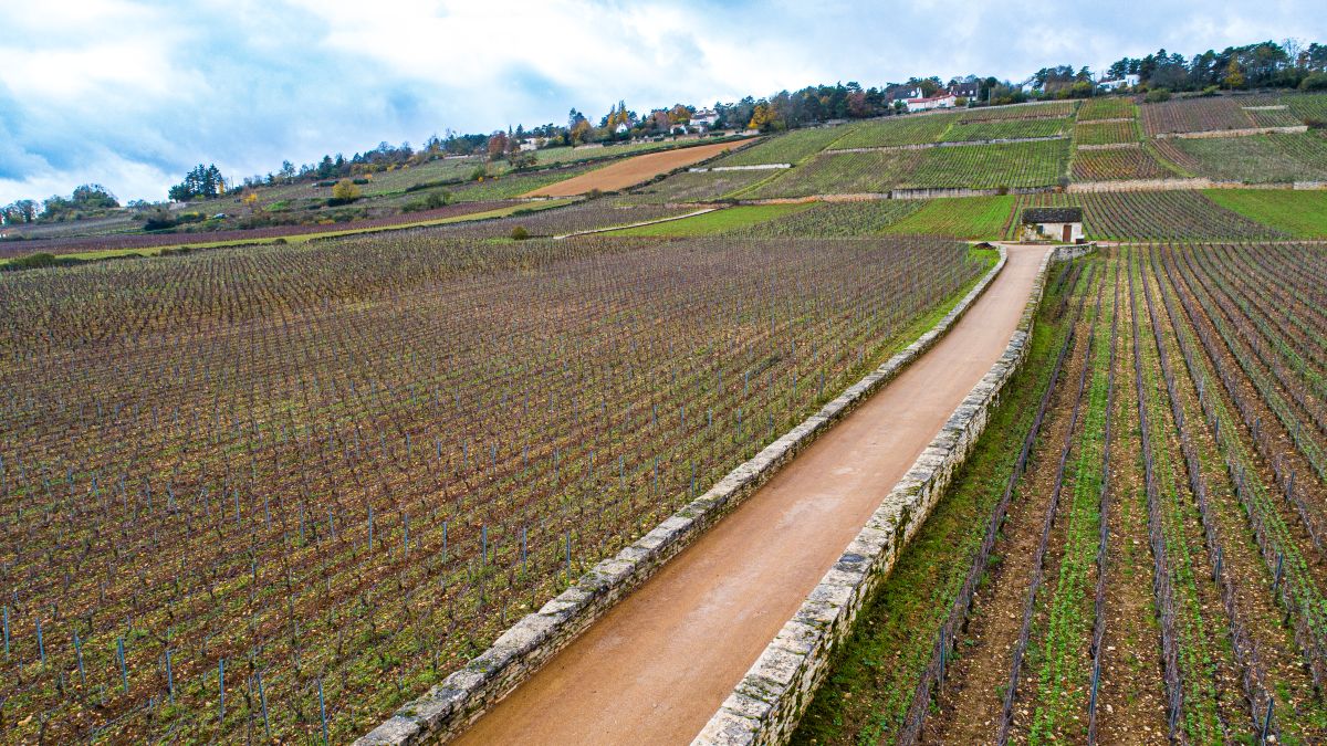Domaine Bouchard et Fils à Beaune