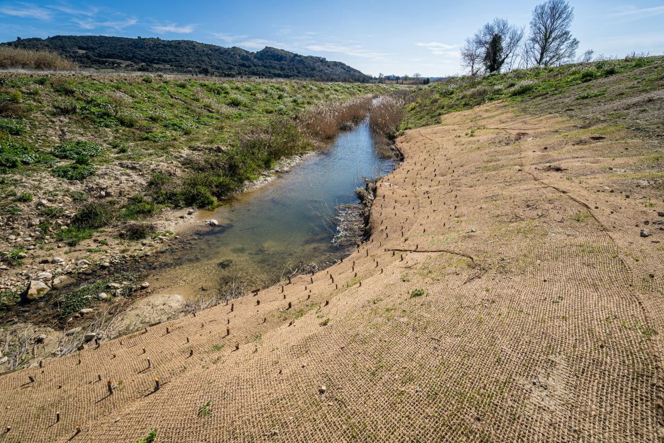Génie écologique : restaurer les écosystèmes pour renforcer la résilience des territoires