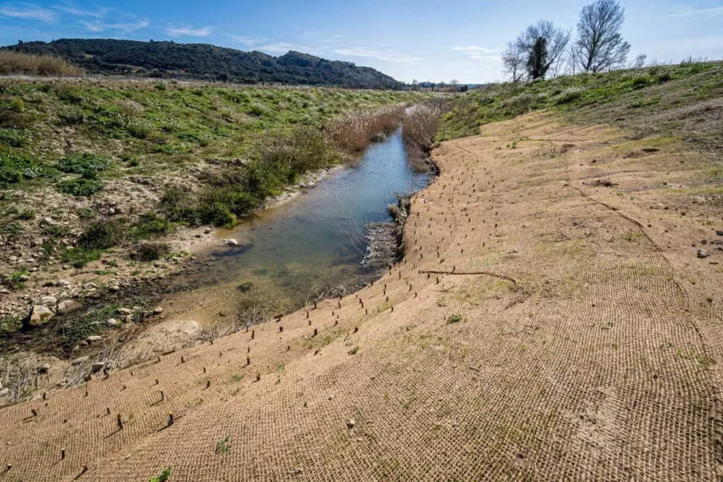 Génie écologique : restaurer les écosystèmes pour renforcer la résilience des territoires