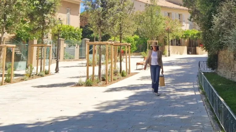 Illustration of Collectivités territoriales 