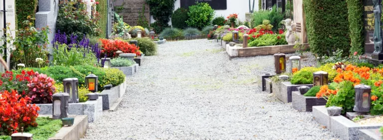 Illustration of Zerophycol