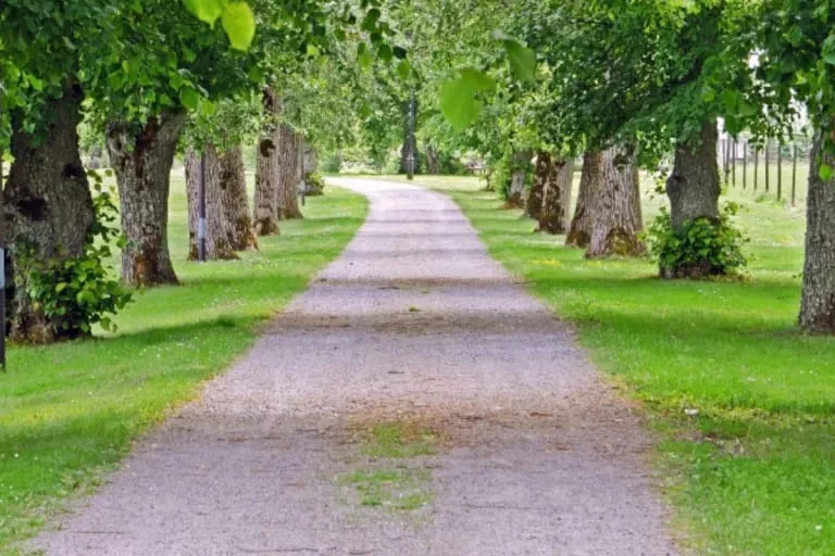 Illustration of Allée de parc, Zerophycol