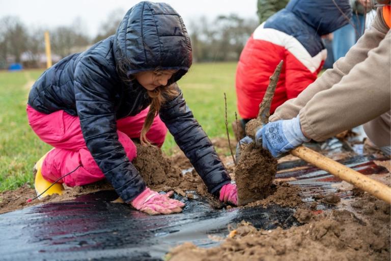 Atelier de plantation avec scolaires : enfants et encadrants en gilets et gants installent de jeunes plants dans un paillage plastique, sol humide et outils de jardinage à proximité.