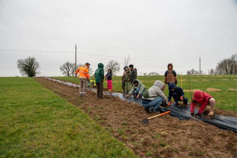 Atelier plantation de haies bocagères : enfants et encadrants installent de jeunes plants le long d’un film de paillage en pleine prairie, outils manuels au sol et accompagnement par un agent en gilet haute visibilité.