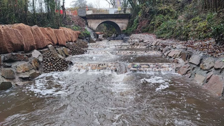 Rivière réhabilitée suite aux travaux de Colas avec plus niveaux