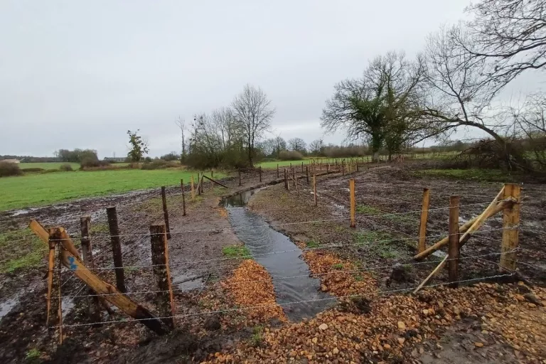 Nouveau tracé du cours d'eau restauré avec clôtures protégeant les berges