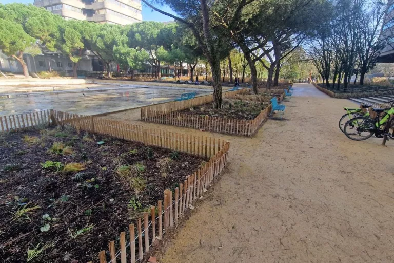 paysager Allée piétonne bordée d’espaces végétalisés et de clôtures en bois à Bordeaux.