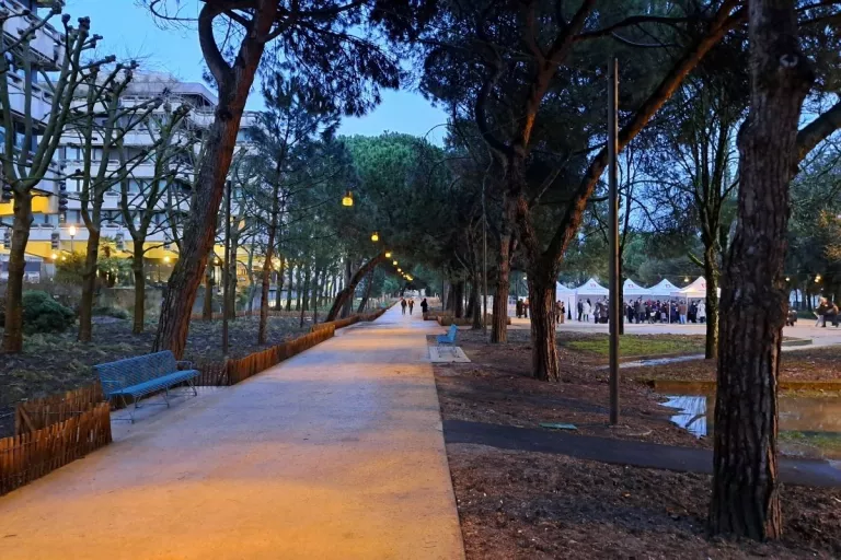 Longue promenade bordée de pins, de bancs et d’espaces végétalisés à Bordeaux.