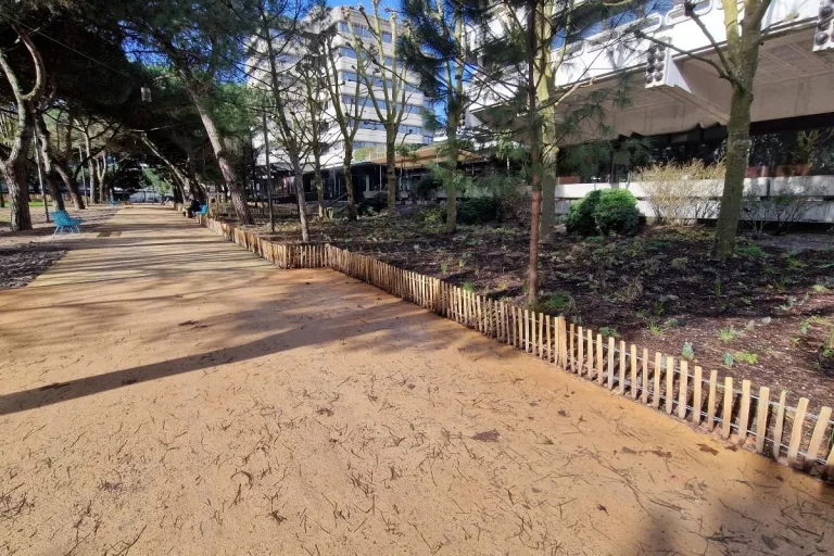 Cheminement piéton bordé d’arbres et de plantations au cœur d’un espace urbain à Bordeaux.