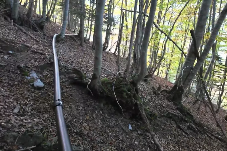 Canalisation installée sur un terrain escarpé au cœur d’une forêt.
