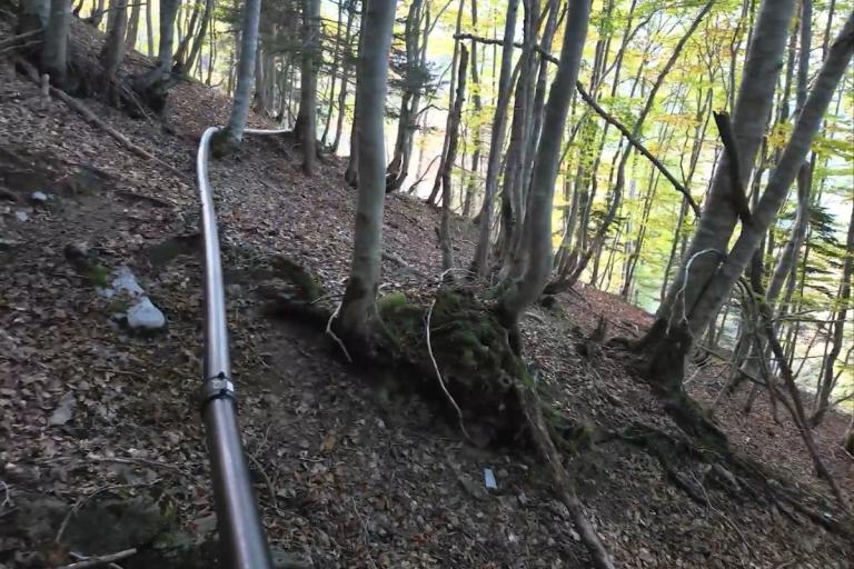Canalisation installée sur un terrain escarpé au cœur d’une forêt.
