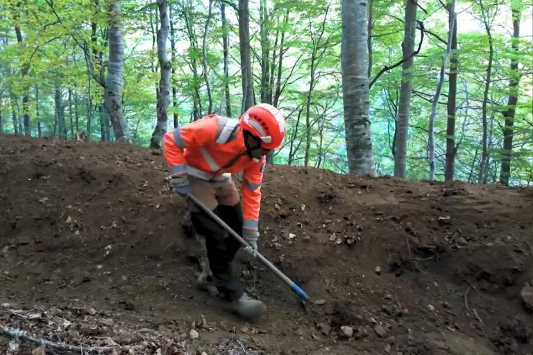 Ouvrier équipé d’un casque et d’une tenue haute visibilité préparant le terrain en forêt.