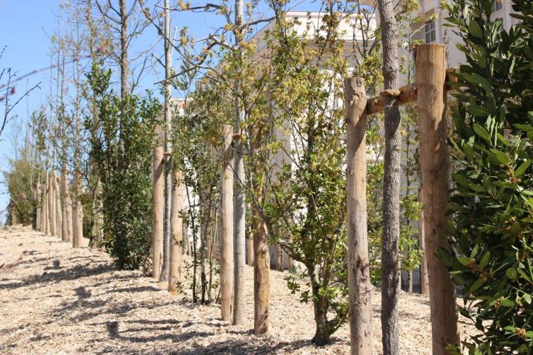 Jeunes arbres, arbustes et plantations paysagères autour des bâtiments d’inspiration classique du Puy du Fou