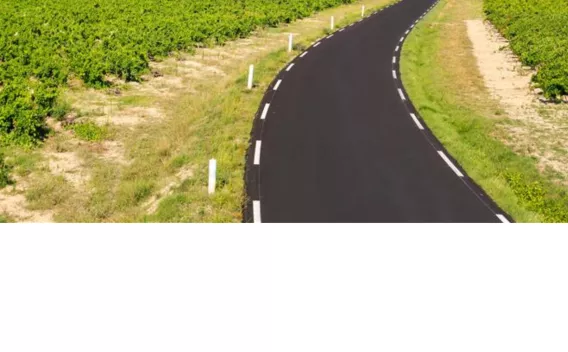 Route de campagne fraîchement revêtue serpentant entre des vignes : enrobé neuf, bordures d’herbe rases et bornes blanches de sécurité le long des accotements.