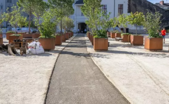 Allée centrale récente bordée de grands bacs végétalisés menant à une entrée patrimoniale, chantier léger en cours et ambiance urbaine soignée.