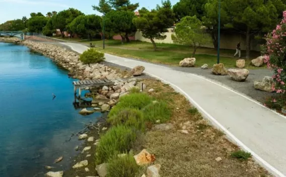 Chemin piéton en béton le long d’un plan d’eau : berges enrochées, végétation riveraine, éclairage public et bancs sous pins.