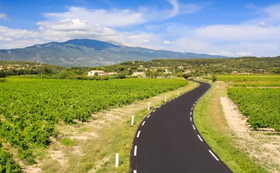 Réfection route d'accès Mont Ventoux par Colas : Route neuve serpentant au milieu de vignobles verdoyants avec montagnes en arrière-plan sous ciel bleu.