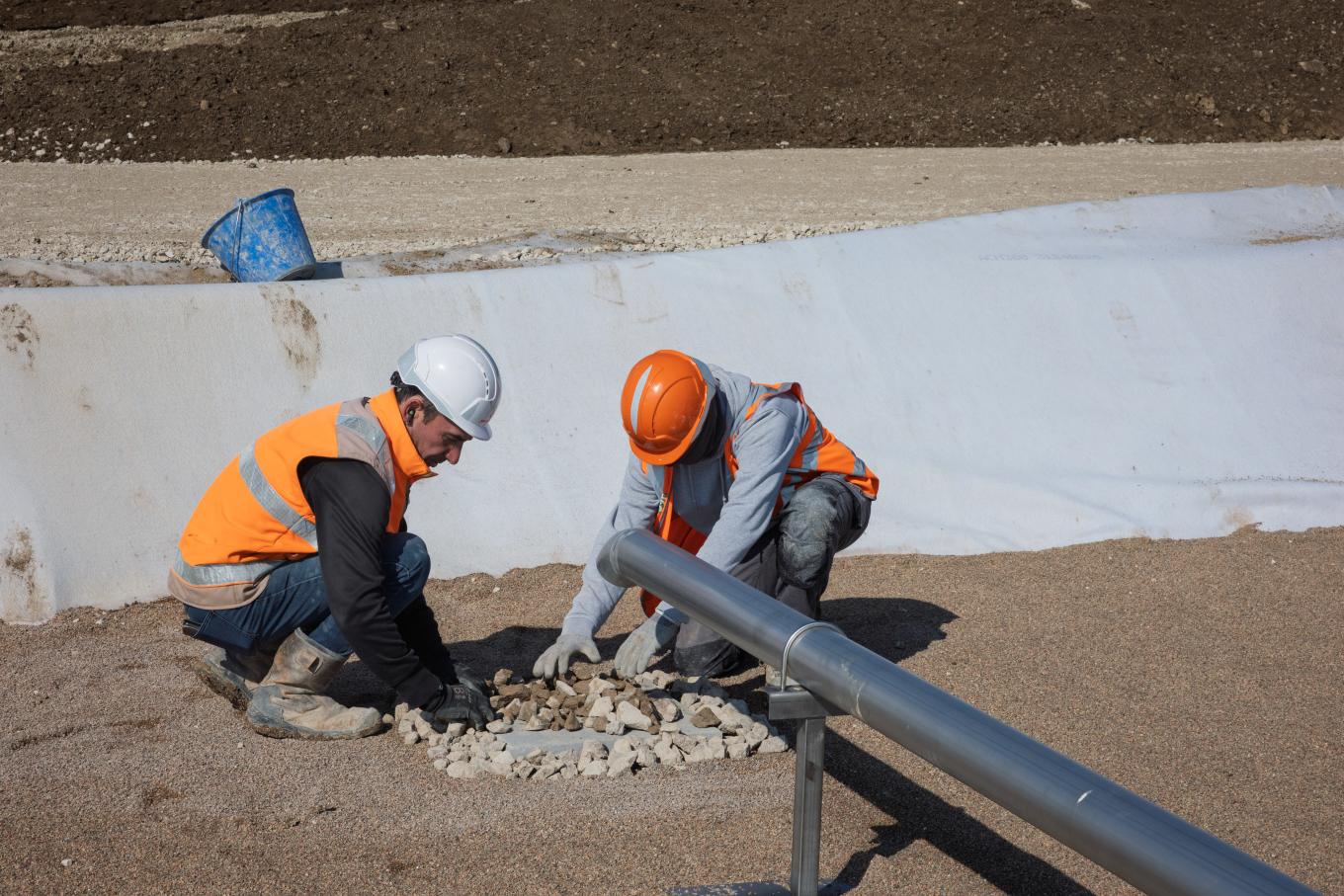 step-a-filtres-roseaux-plantes