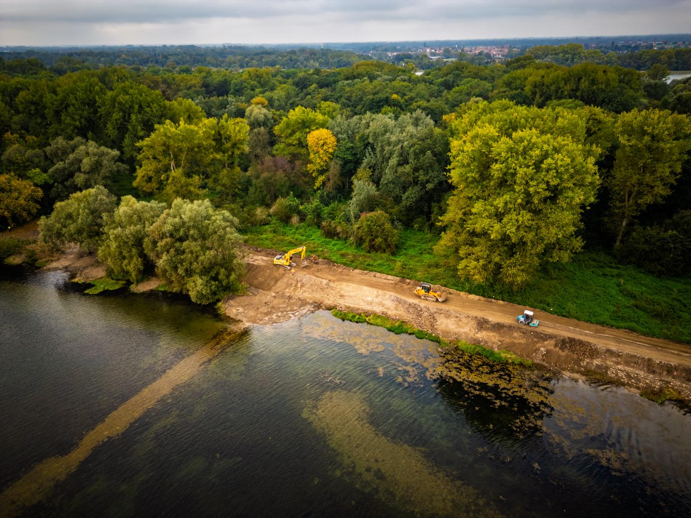 restauration-ecologique-berges-du-rhin