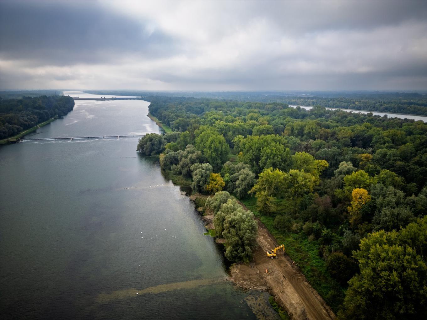 Restauration écologique des berges du Rhin - Île de Gerstheim par Colas