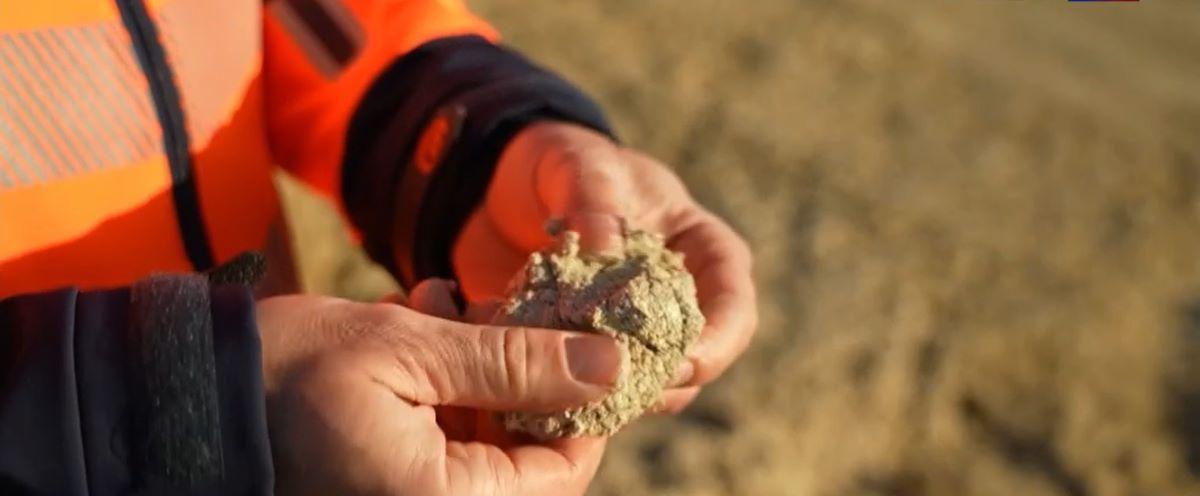 solution fondée sur la nature