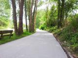 Allée piétonne/cyclable fraîchement revêtue en milieu naturel : ruban clair lisse serpentant sous des arbres denses, bordée d’herbes et de haies, avec un banc en bois sur la gauche.