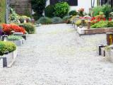 Allée de cimetière en gravillons : bordures soignées, plantations fleuries et lanternes funéraires alignées le long des concessions.