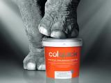 Seau orange de produit routier "Colquick" en premier plan, mis en scène sur fond monochrome avec la patte d’un éléphant posée sur son couvercle, suggérant robustesse et résistance du matériau.