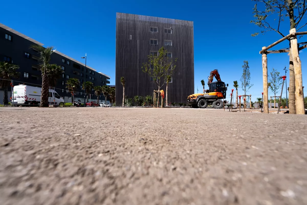 colstab-airedejeuxencolstabostrea