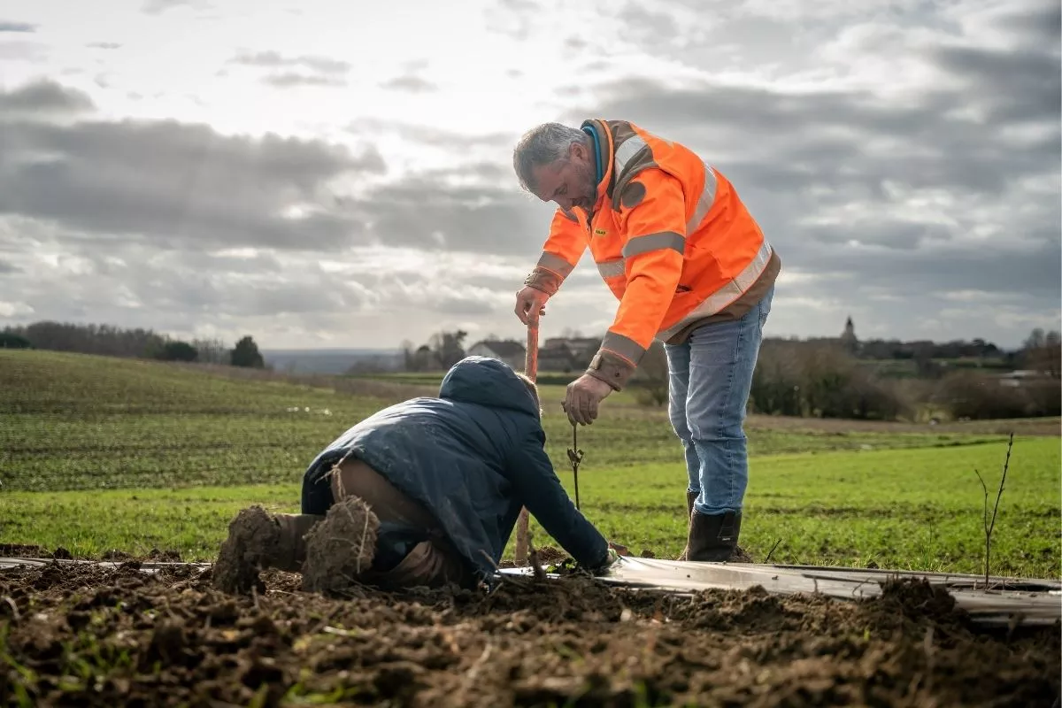 Plantation de haies avec un élève et un collaborateur Colas à Albi