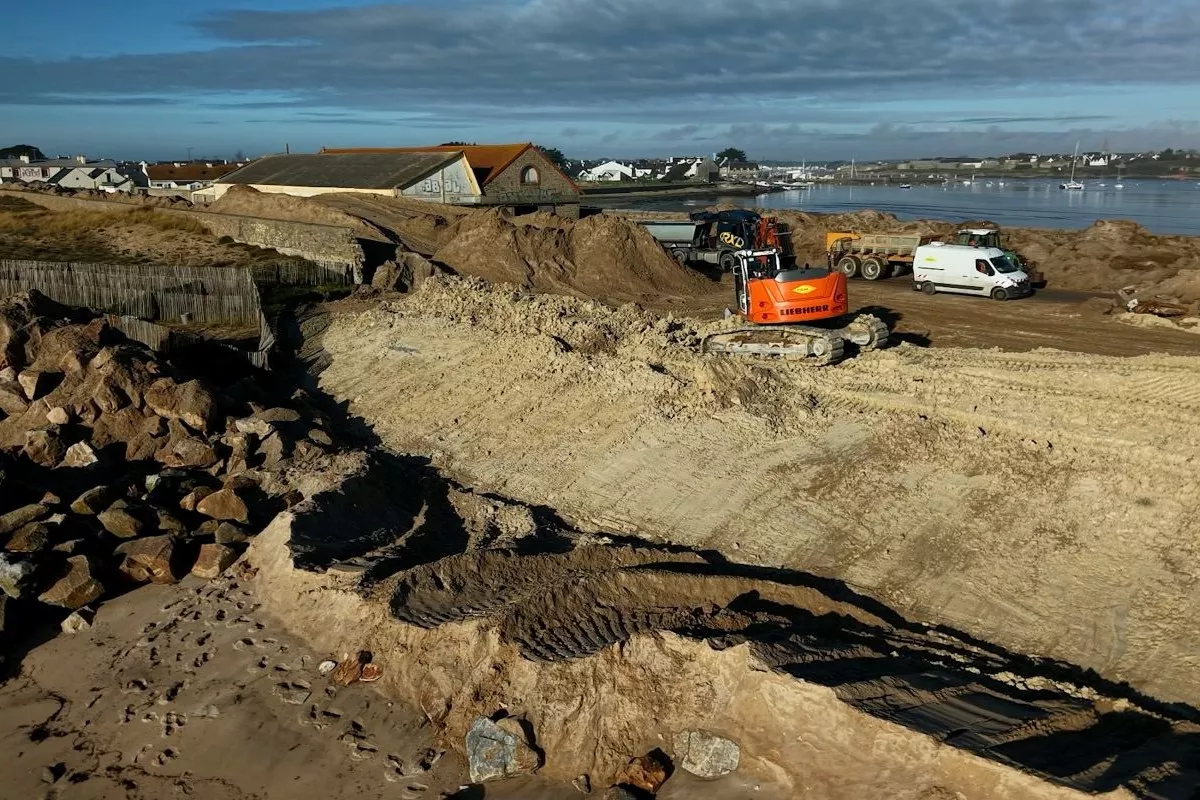 Génie écologique : la réhabilitation de la dune de Gâvres pour protéger le littoral