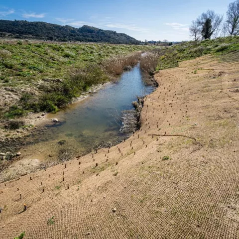 Illustration of Génie écologique : restaurer les écosystèmes pour renforcer la résilience des territoires