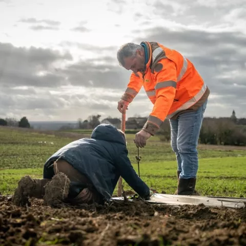 Illustration of Plantation de haies à Albi : 165 élèves aux côtés de Colas pour la biodiversité