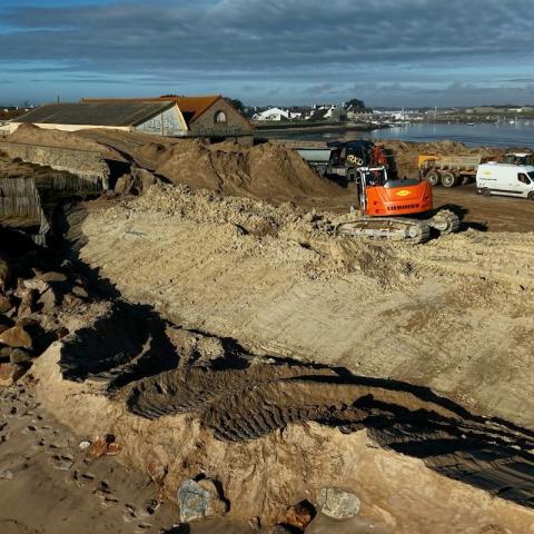 Illustration of Génie écologique : la réhabilitation de la dune de Gâvres pour protéger le littoral
