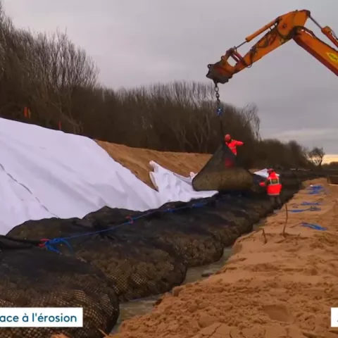 Illustration of Île d’Oléron : Colas mobilisé en urgence pour lutter contre l’érosion côtière
