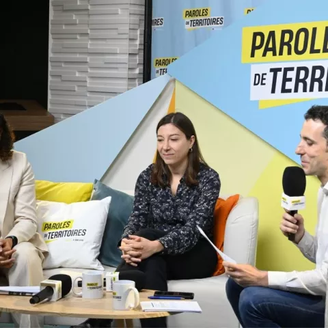 Illustration of Comment adapter nos villes aux vagues de chaleur ? Les enseignements du Live Paroles de Territoires